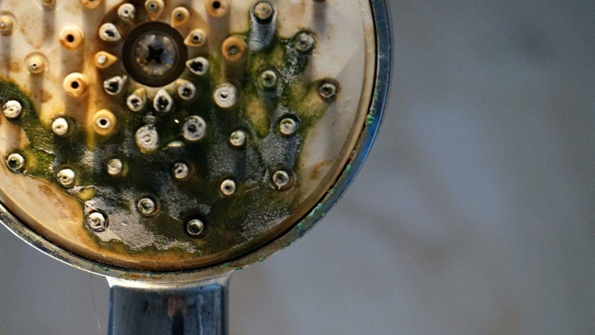 Truco infalible para limpiar el cabezal de la ducha, quitar el sarro y dejarlo como nuevo